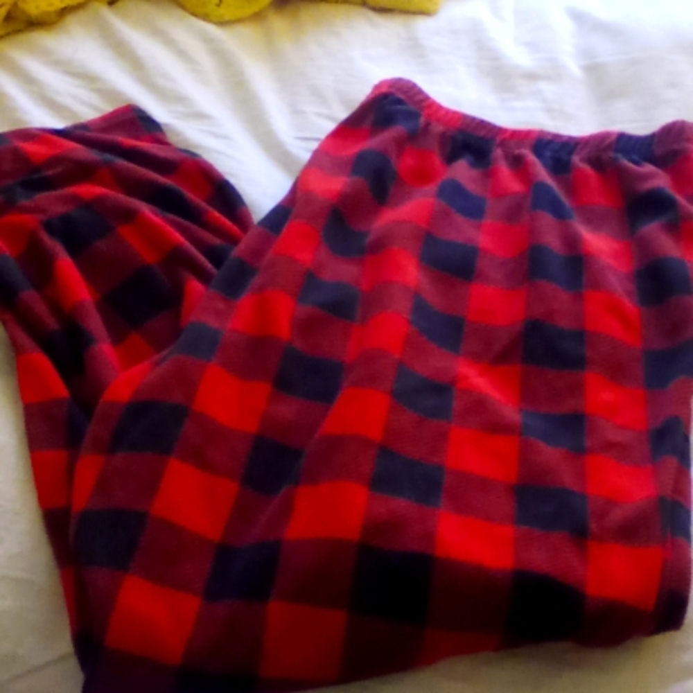 FINAL PRICE Target fleece sleep pants 2x